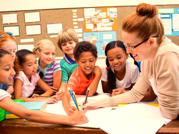 Terreno fértil para aprender